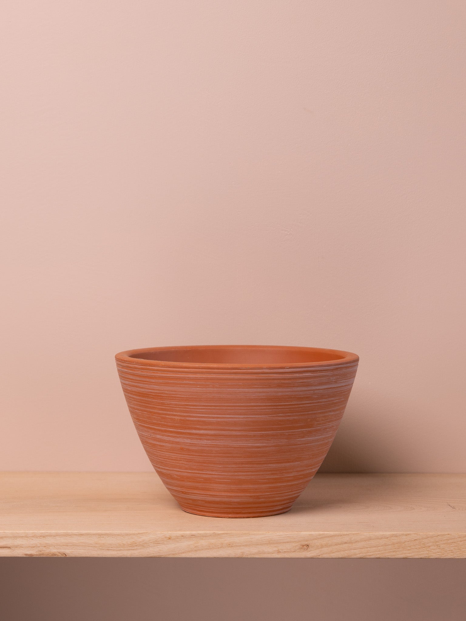 Plant Pot