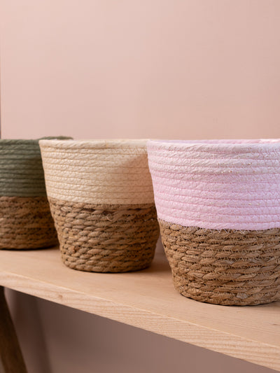 Coloured Wicker Indoor Plant Baskets