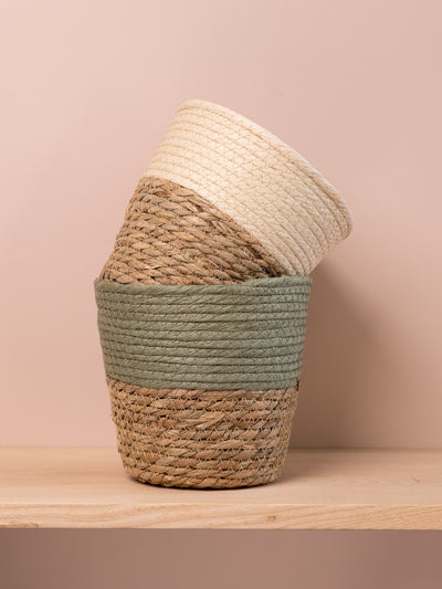 Coloured Wicker Indoor Plant Baskets