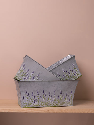 Lavender Aluminium Planters